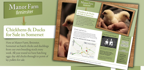 Manor Farm, Ilminster, Somerset, Poultry Sales